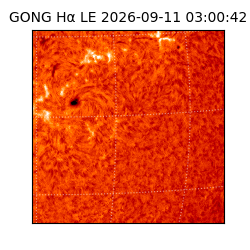 gong - 2026-09-11T03:00:42