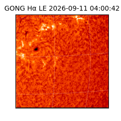gong - 2026-09-11T04:00:42