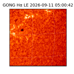 gong - 2026-09-11T05:00:42