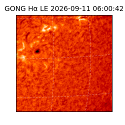 gong - 2026-09-11T06:00:42