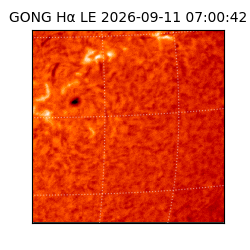 gong - 2026-09-11T07:00:42