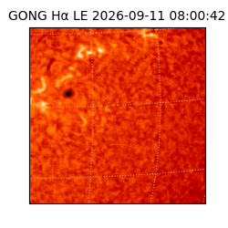 gong - 2026-09-11T08:00:42