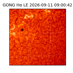 gong - 2026-09-11T09:00:42
