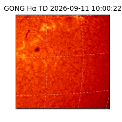 gong - 2026-09-11T10:00:22