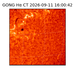gong - 2026-09-11T16:00:42