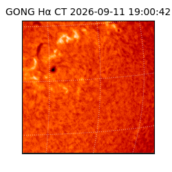 gong - 2026-09-11T19:00:42