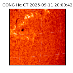 gong - 2026-09-11T20:00:42