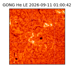 gong - 2026-09-11T01:00:42