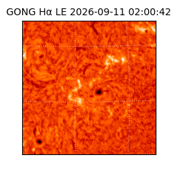 gong - 2026-09-11T02:00:42