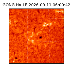 gong - 2026-09-11T06:00:42