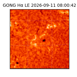 gong - 2026-09-11T08:00:42