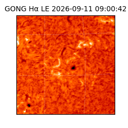 gong - 2026-09-11T09:00:42