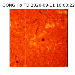 gong - 2026-09-11T10:00:22