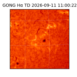 gong - 2026-09-11T11:00:22