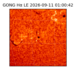 gong - 2026-09-11T01:00:42