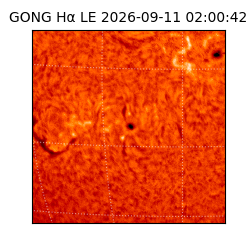 gong - 2026-09-11T02:00:42