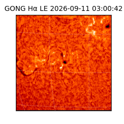 gong - 2026-09-11T03:00:42