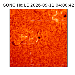gong - 2026-09-11T04:00:42