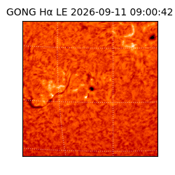 gong - 2026-09-11T09:00:42