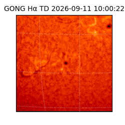 gong - 2026-09-11T10:00:22