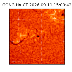 gong - 2026-09-11T15:00:42