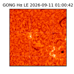 gong - 2026-09-11T01:00:42