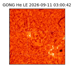 gong - 2026-09-11T03:00:42