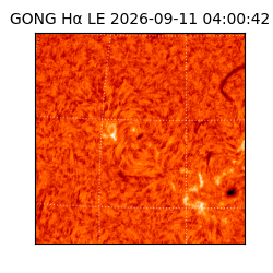 gong - 2026-09-11T04:00:42