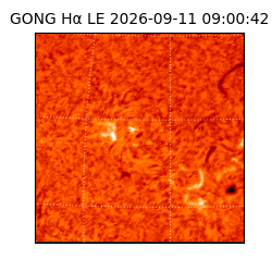 gong - 2026-09-11T09:00:42