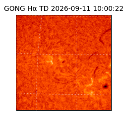 gong - 2026-09-11T10:00:22