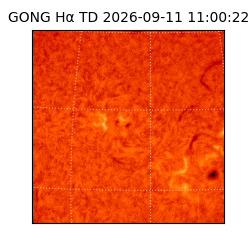 gong - 2026-09-11T11:00:22