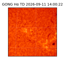 gong - 2026-09-11T14:00:22