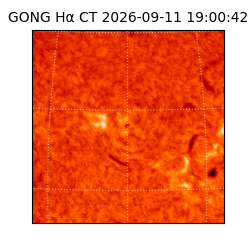 gong - 2026-09-11T19:00:42
