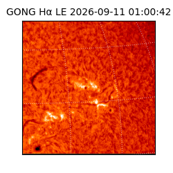 gong - 2026-09-11T01:00:42