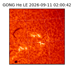 gong - 2026-09-11T02:00:42