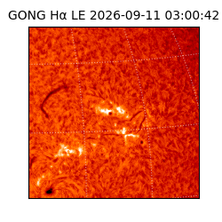 gong - 2026-09-11T03:00:42