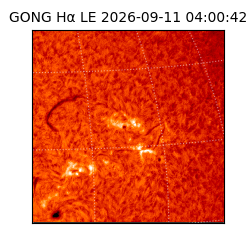 gong - 2026-09-11T04:00:42
