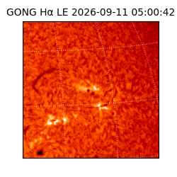 gong - 2026-09-11T05:00:42
