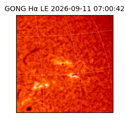 gong - 2026-09-11T07:00:42