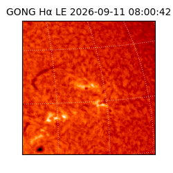 gong - 2026-09-11T08:00:42