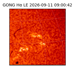 gong - 2026-09-11T09:00:42