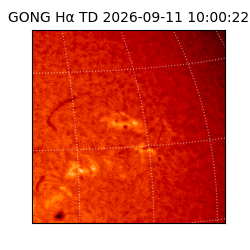 gong - 2026-09-11T10:00:22