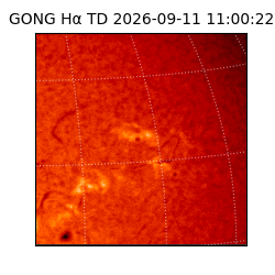 gong - 2026-09-11T11:00:22