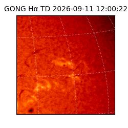 gong - 2026-09-11T12:00:22