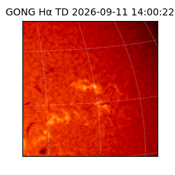 gong - 2026-09-11T14:00:22