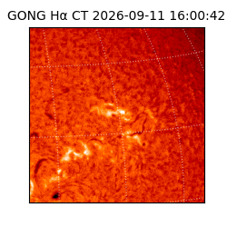 gong - 2026-09-11T16:00:42