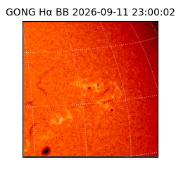 gong - 2026-09-11T23:00:02
