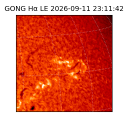 gong - 2026-09-11T23:11:42