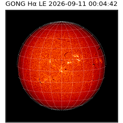gong - 2026-09-11T00:04:42