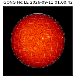 gong - 2026-09-11T01:00:42